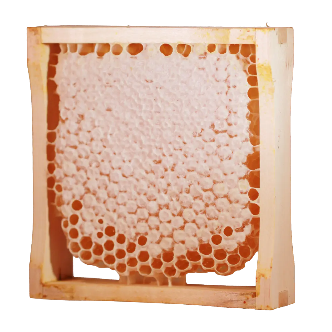 Honeystly_Thumbnails_1080x1080_01